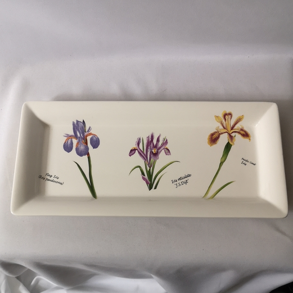 Irises by Skye McGhie Rectangle Platter or Display Dish with Purple Yellow Green